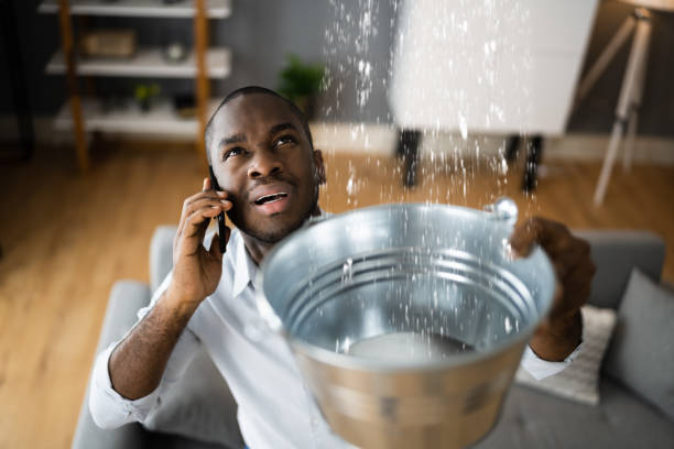 Best Professional water damage repair  in Alturas, FL