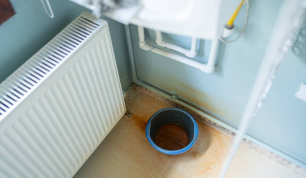 Best Carpet water damage restoration  in Alturas, FL