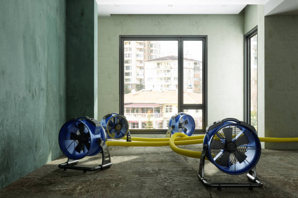 Best Water damage restoration insurance claims  in Alturas, FL